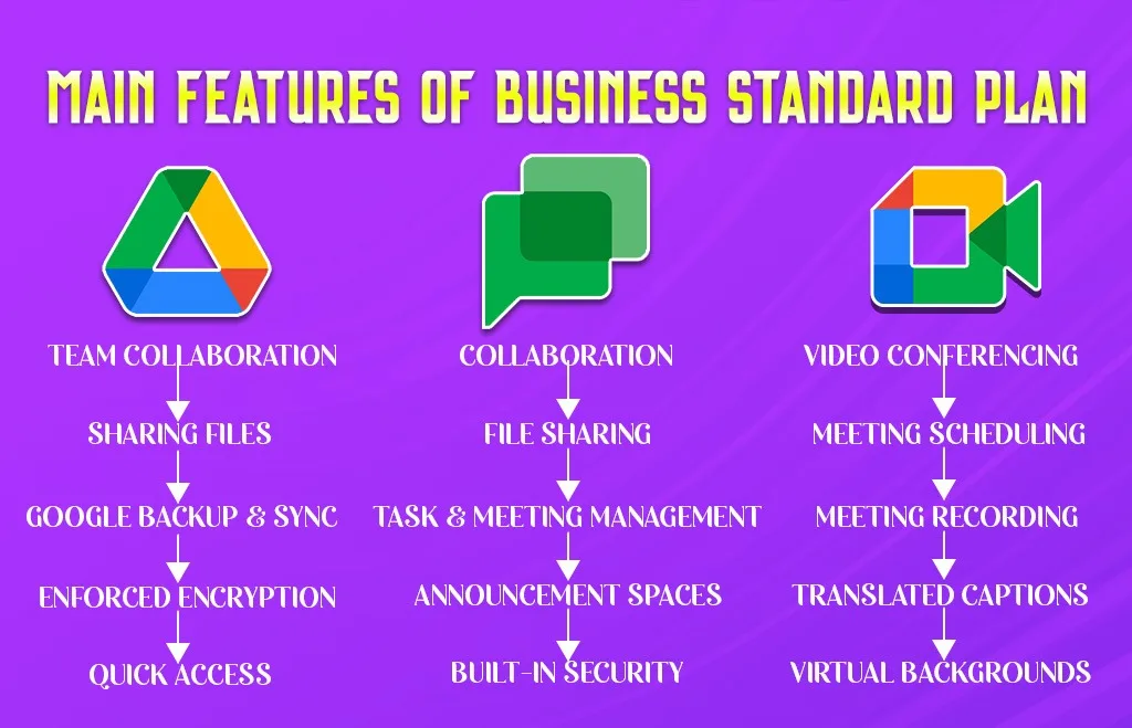 features of business standard plan